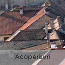acoperisuri