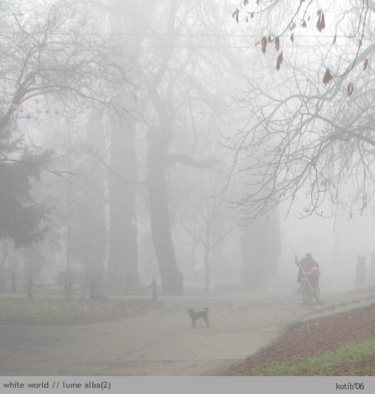 white world02