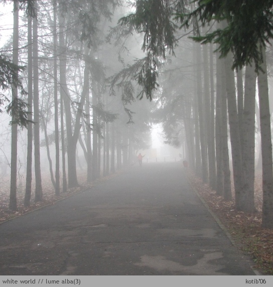 white world03