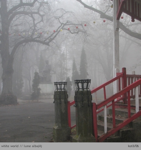 white world04