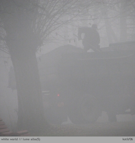 white world05