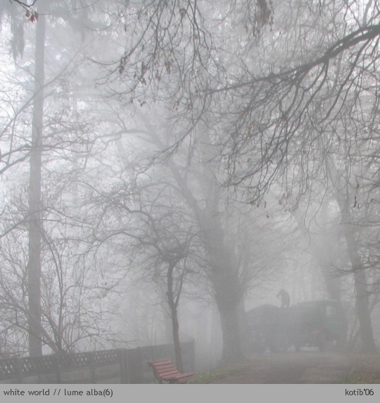 white world06