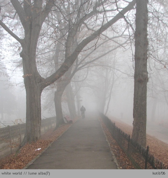 white world07
