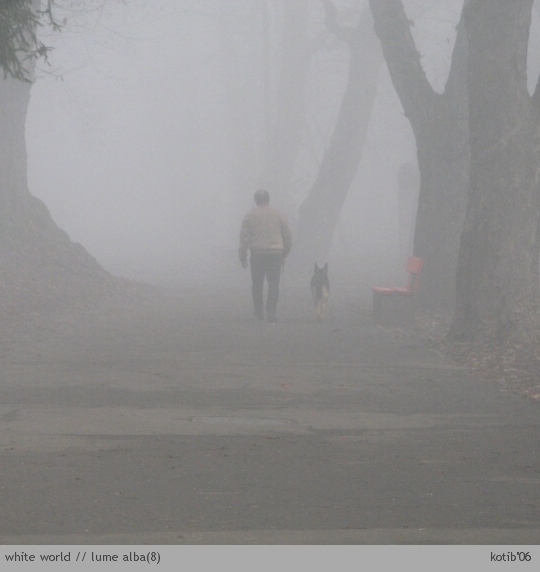 white world08