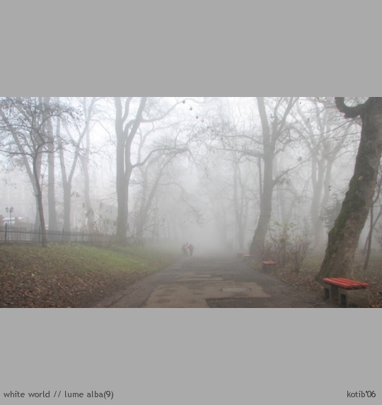 white world09